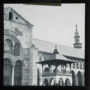 Böhl glass slide 50./1216